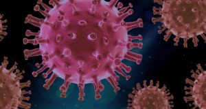 Covid : le déploiement du vaccin en Israël marque la chute de l'infection